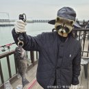 바다냥이네 | 동검레저바다낚시터 13번 방갈로 이용 후기(*우럭 3마리, 망둑어 1마리)