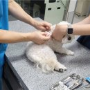 120 연합뉴스