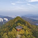 봉곡동264 이미지