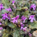 금창초교 이미지