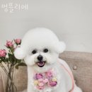 멍뜰리에 이미지