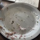 대구 비건식당 동인동맛집, 더커먼, 대구 소품샵 추천