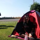 backpackers Korea