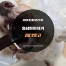 말랑한하루 | 강아지 져키간식 레디펫고 홍삼튼튼져키 말랑한 육포 간식 후기