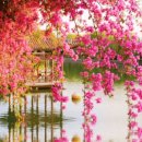 가족만찬 이미지