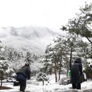 Snow County 이미지