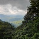 회남정 Daum카페