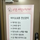 리온체온테라피 이미지