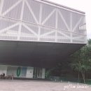 미적감각 | 포덤챌 8주 차~전시 추천 서울대학교미술관 &lt;미적감각&gt; 관람 후기