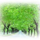 인생신호등 이미지