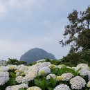 수국수 - 오산시 궐리사로 59 | 수국수