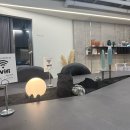 성수역미용실 토니앤가이 성수 맞춤 헤어컨설팅 추천