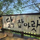 풀잎코너 Daum카페