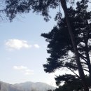 중앙운동처방센터 이미지