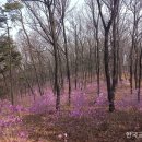 ‘칠보산을 사랑하는 모임’ 아세요? 이미지