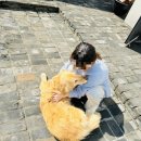 경주 | 비앤지하우스] 경주 북부 최고복지 숙소, 보리와 순돌이가 뛰노는🐾, 1층 Beige 호실 투숙 정보/후기