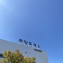 파레사애견풀빌라 이미지