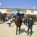 승마 특성화학교 함양 위림초 말 타고 졸업식 이미지