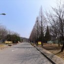 까치울마을1단지주차장 이미지