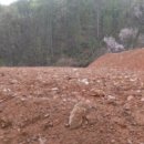 도척면-1 이미지