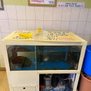 강촌 토종삼계탕 이미지