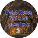 파주정수농장 | 2020 캘리포니아 종단 여행: 포인트 라이스 국립 해안 (Point Reyes National Seashore)