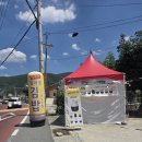 김밥나들이 | 밀양 강가네엄마손김밥 계곡 나들이 포장하기 좋은 김밥 맛집 내돈내산 후기