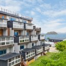 샌드시아 이미지