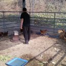 동림목장 이미지