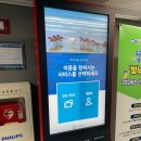 파주 문산 청소년수련관 수영장 직접가봄