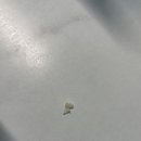 하늘과 바람과 별과 치과의원 네이버블로그