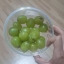 해냈다