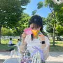 화비꽃방 이미지