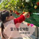 초록농장 | [👶🏻35m] 여수동 딸기농장, 딸기랑 🍓, 세 돌 아기 딸기체험
