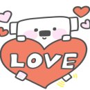 비바헤어