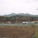 양사면-2 이미지