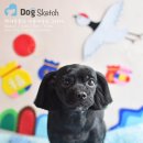 Happy 애견샵 이미지