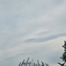 회산백련지 관광안내소 이미지