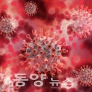 대동프라스틱 이미지