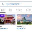 316031 | [첫 해외여행 준비] 3박 4일 오사카 → 교토 새해맞이 여행 ①여행 준비 (여권 · 항공예매 · 환전...