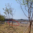 당진시 동부로 이미지