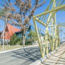 STELLA KOREA 이미지