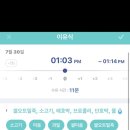 이든체어