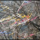 화개우체국 이미지