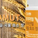 드빅 이미지