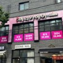 에리카헤어 이미지