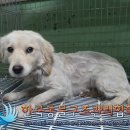 항동하버라인8단지 이미지