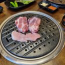 꼼짱먹짱 이미지