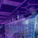 버니하우스 광안점 이미지