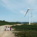 대관령아름다운펜션 이미지